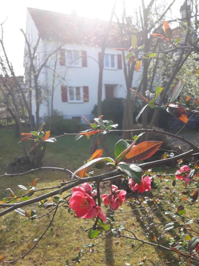 Zum Scheunenhof - Bauernhaus Ichenhausen Exteriör bild